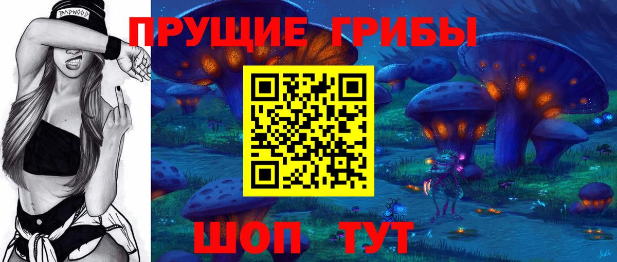 Балашов  Псилоцибиновые грибы прущие грибы  Вход с VPN  Галлюциногенные грибы Psilocybe 